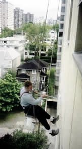 Painter on Swing